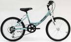 Cindy 20 6sp - 2021