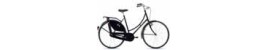 Pilis Sport